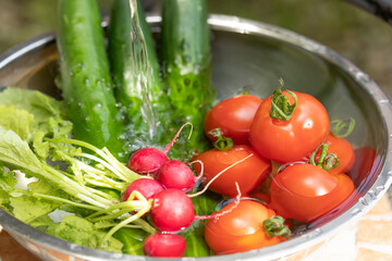 夏野菜