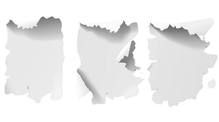 Fototapeta premium Torn Edges Paper Background Collection for Creative Designs, Scrapbooking, Advertising, and Presentations with Blank Spaces for Custom Text or Images