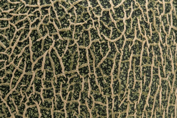 メロンの網目模様