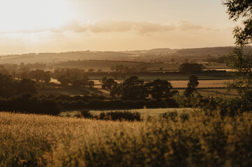 Fototapeta premium View to the valley from the hill. Sunset.