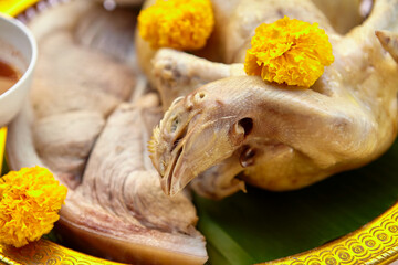 boiled chicken meat for offerings to pay respect god