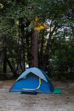 Blue camping tent set up in forest clearing near tall pine trees