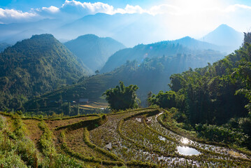 rice terraces in northern Vietnam