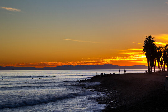 Surfers and palm trees at sunset on a rocky California coastline