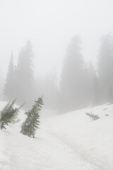 Naklejka premium Snowy Mountain Landscape with Evergreen Trees