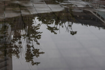 梅雨の風景 雨上がりの水たまり