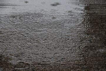 梅雨イメージ 水溜りに降る雨