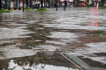 梅雨の風景 雨上がりの水たまり