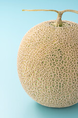 メロン 夏の果物