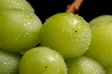 フレッシュなシャインマスカット　クローズアップ　黒バック