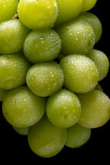 シャインマスカット　黒バック