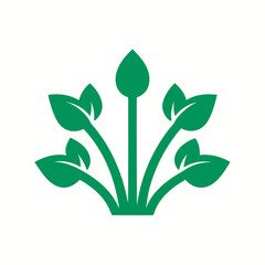 green plant in a pot