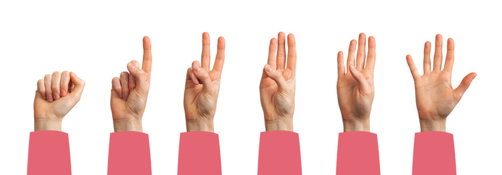 Hand showing counting gesture. Female palm and fingers displaying one, two, three, four, five numbers for math, education, countdown or concept of digit position. Isolated on white background...