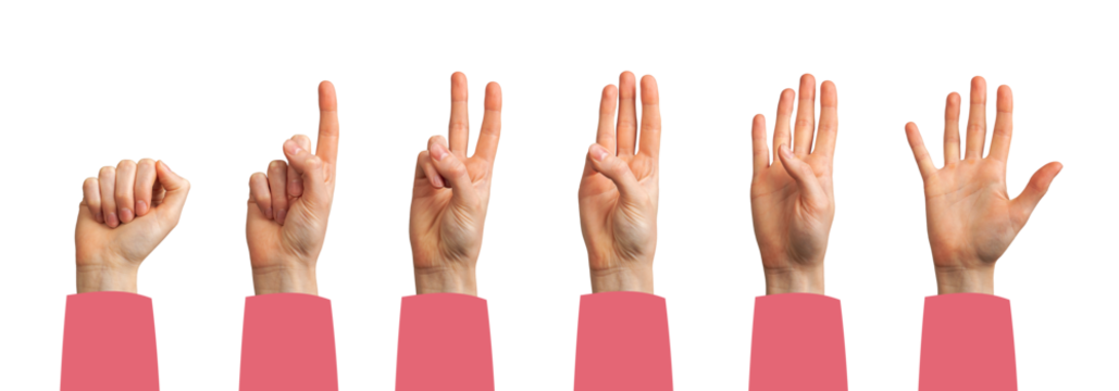 Hand showing counting gesture. Female palm and fingers displaying one, two, three, four, five numbers for math, education, countdown or concept of digit position. Isolated on white background...