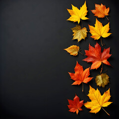 various colored leaves arranged on a solid black background. The leaves display a range of colors, including