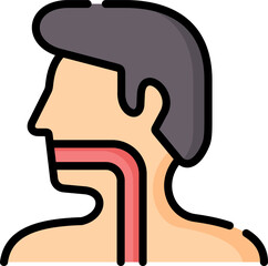 esophagus Illustration on a white background.