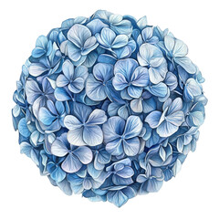 A Vibrant Sphere of Blue Hydrangea Flowers Against a Dark Background, Capturing Nature's Beauty and Intricate Details in Every Petal and Leaf