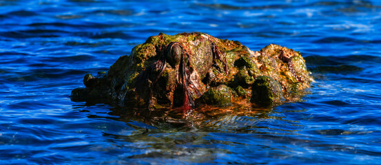 Felsen im Wasser