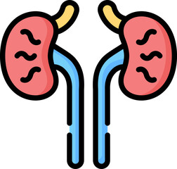kidney Illustration on a white background