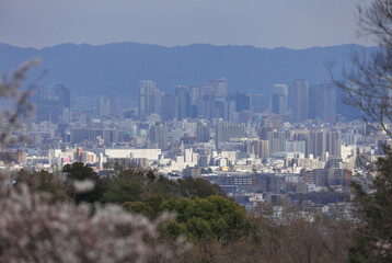 Osaka's buildings and Mt.Ikoma seen from Kabutoyama Forest Park