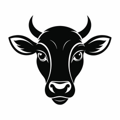 black and white cow