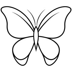 butterfly vector illustration