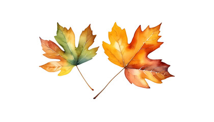 Autumn leaf, vibrant fall colors, watercolor style, isolated white background