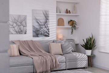 Comfortable sofa, houseplants and decorative elements in living room. Interior design