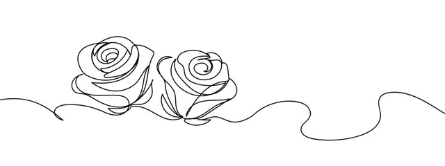 Continuous line, two roses line art vector illustration with transparent background editable stroke.
