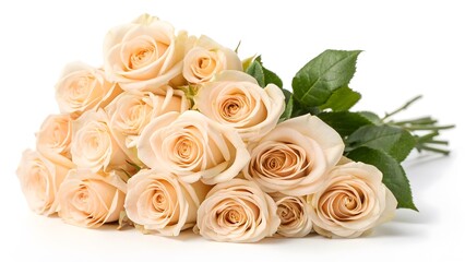 Obraz premium Champagne-Colored Roses Arranged in a Stylish Composition, Isolated on a White Background, elegantly arranged for a luxurious and timeless aesthetic, Clean and Sophisticated Botanical Stock Image