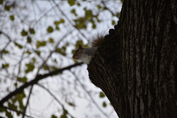 A trip to New York City is an unforgettable experience