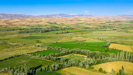 Aerial view of fertile farmland with mountain backdrop