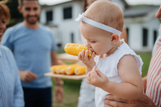 Baby girl eating corn on the cob at family barbecue gathering.