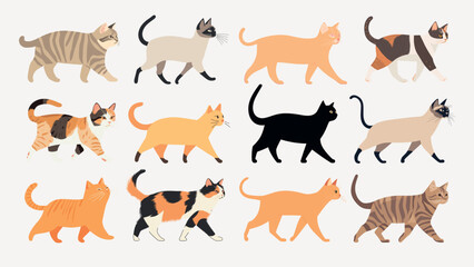 Colorful illustrated cats walking, isolated vector set