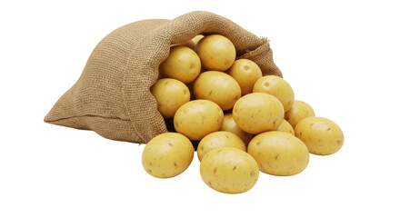 Isolated sack of potatoes
