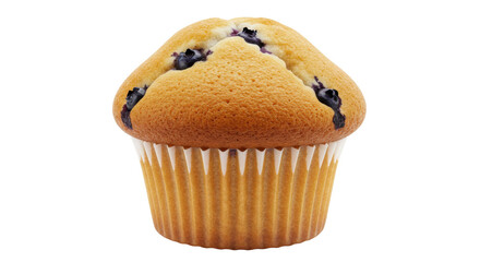 Isolated blueberry muffin