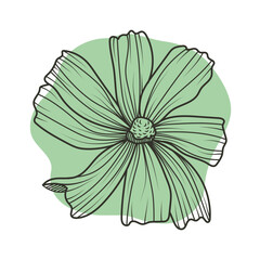 A poster, a poster with a flower in outline on a colored background for interior decoration. A flower in the style of line art, an icon or a logo.