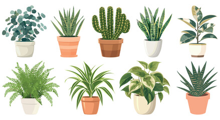 Vibrant potted cactus collection illustration, isolated element set vector