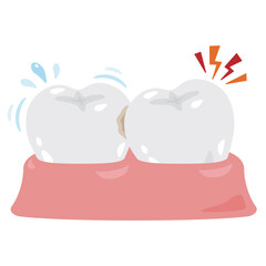 親知らずと正常な歯のイラスト