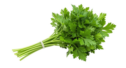 Isolated Parsley