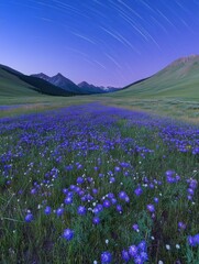 Obraz premium Enchanting field of wildflowers under a starry sky with mystical twilight streaks illuminating the scene