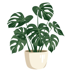 Potted monstera plant illustration leaves modern vector
