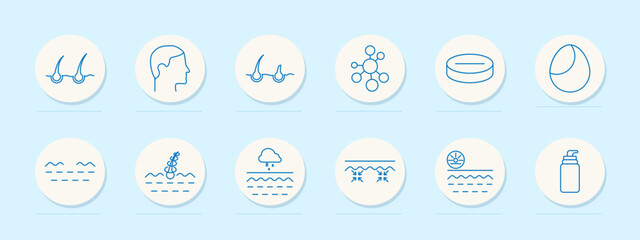 Hair care set icon. Follicles, scalp, profile, molecules, capsule, oil, hydration, curl, snowflake, wrinkle, sunblock, lotion, moisture, treatment