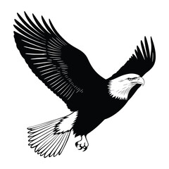 Obraz premium Eagle flying illustration silhouette black vector
