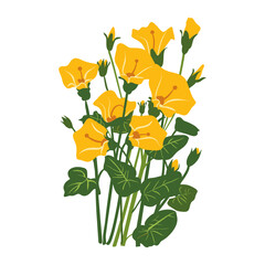 Sundrop flowers bouquet art illustration botanical vector