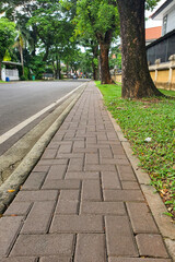 Exploring a Tree-Lined Street: Walking on a Pavement Beside Lush Greenery, a Tranquil Urban Landscape with Serene Atmosphere. Observing Pavement Texture and Street Design Elements for Urban Planning.