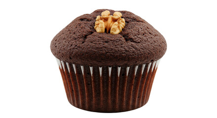 Isolated Cupcake