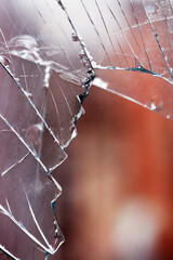 Shattered Window
