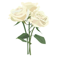 Obraz premium White roses illustration background flower vector