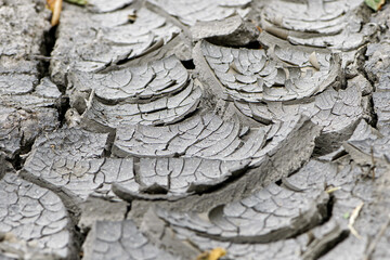 Earth Defense Day. cracks in the soil drought ecology. Dry cracked ground texture. Desert...